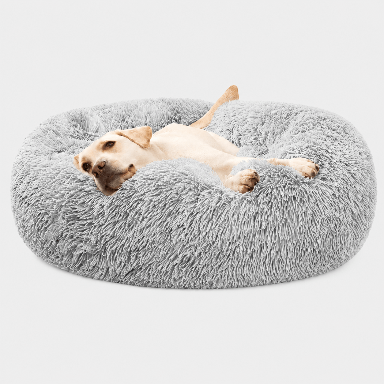 Pet Essentials