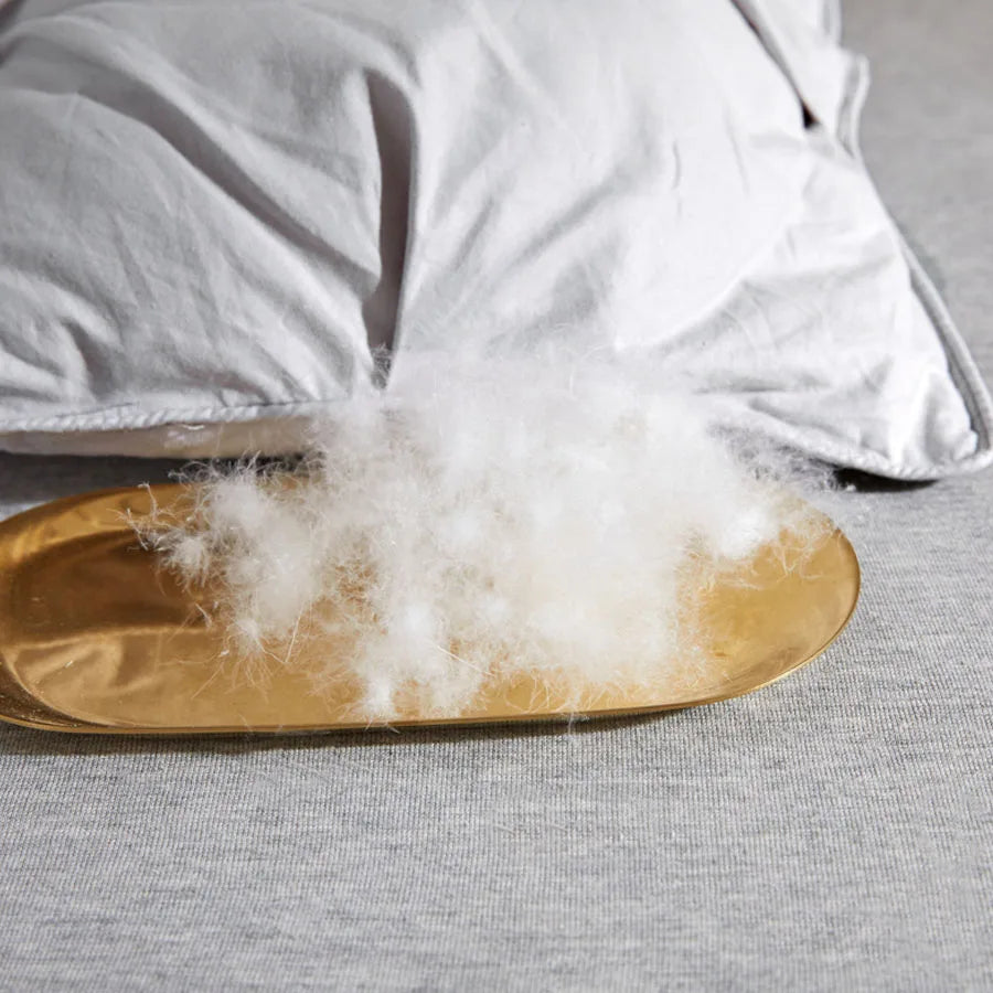 Luxury 100% White Goose down Comforter Winter Warm Duvet