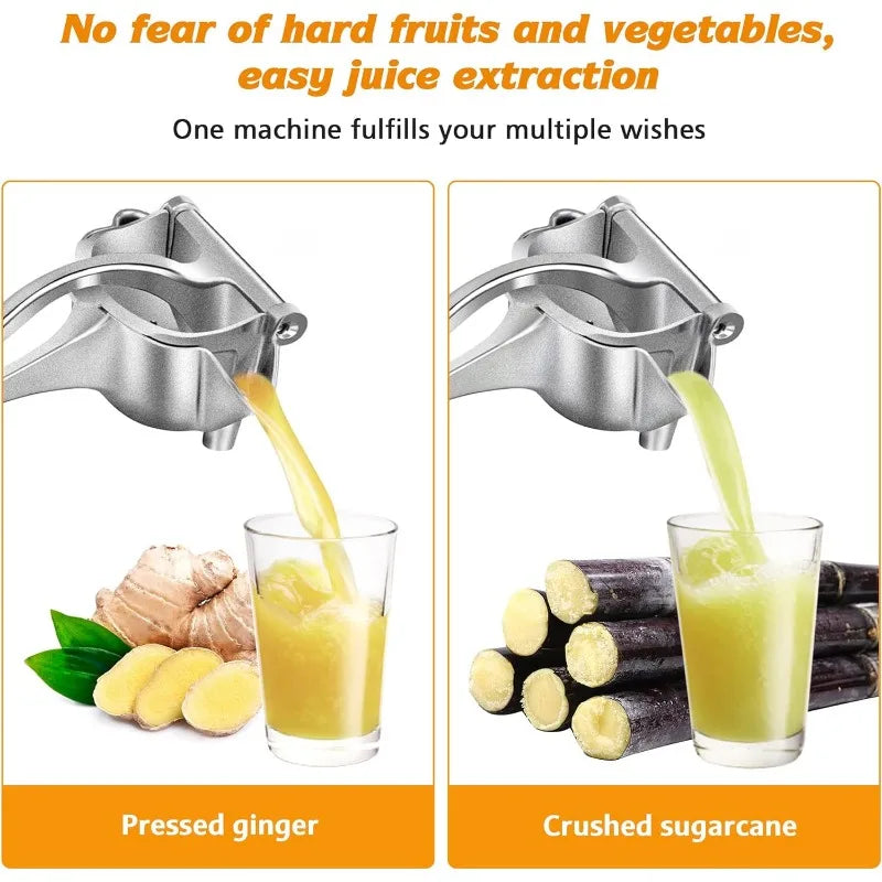 Fruit Juice Squeezer