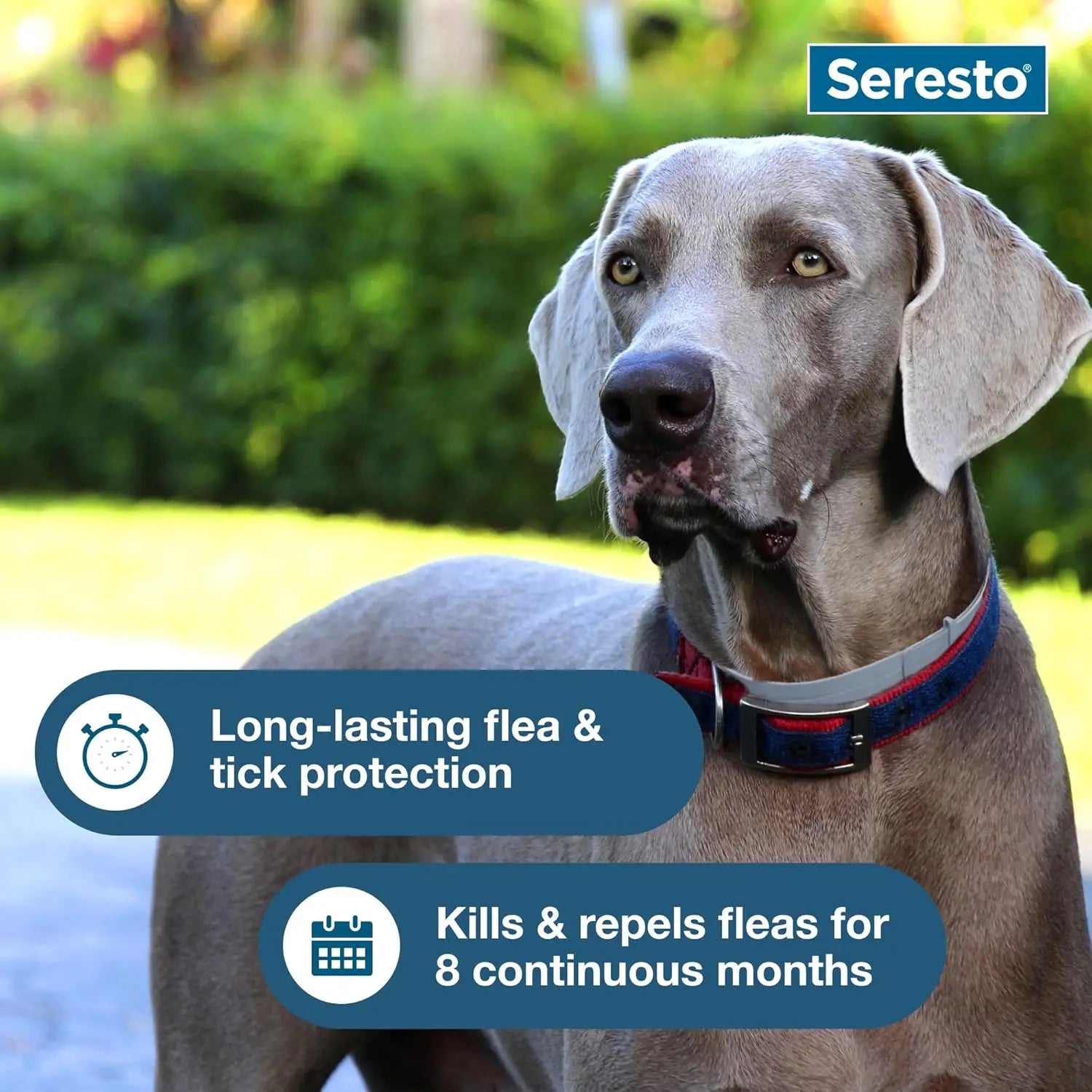 Pet Calming Collar: Stress-Relief and Prevention Collar for Cats and Dogs